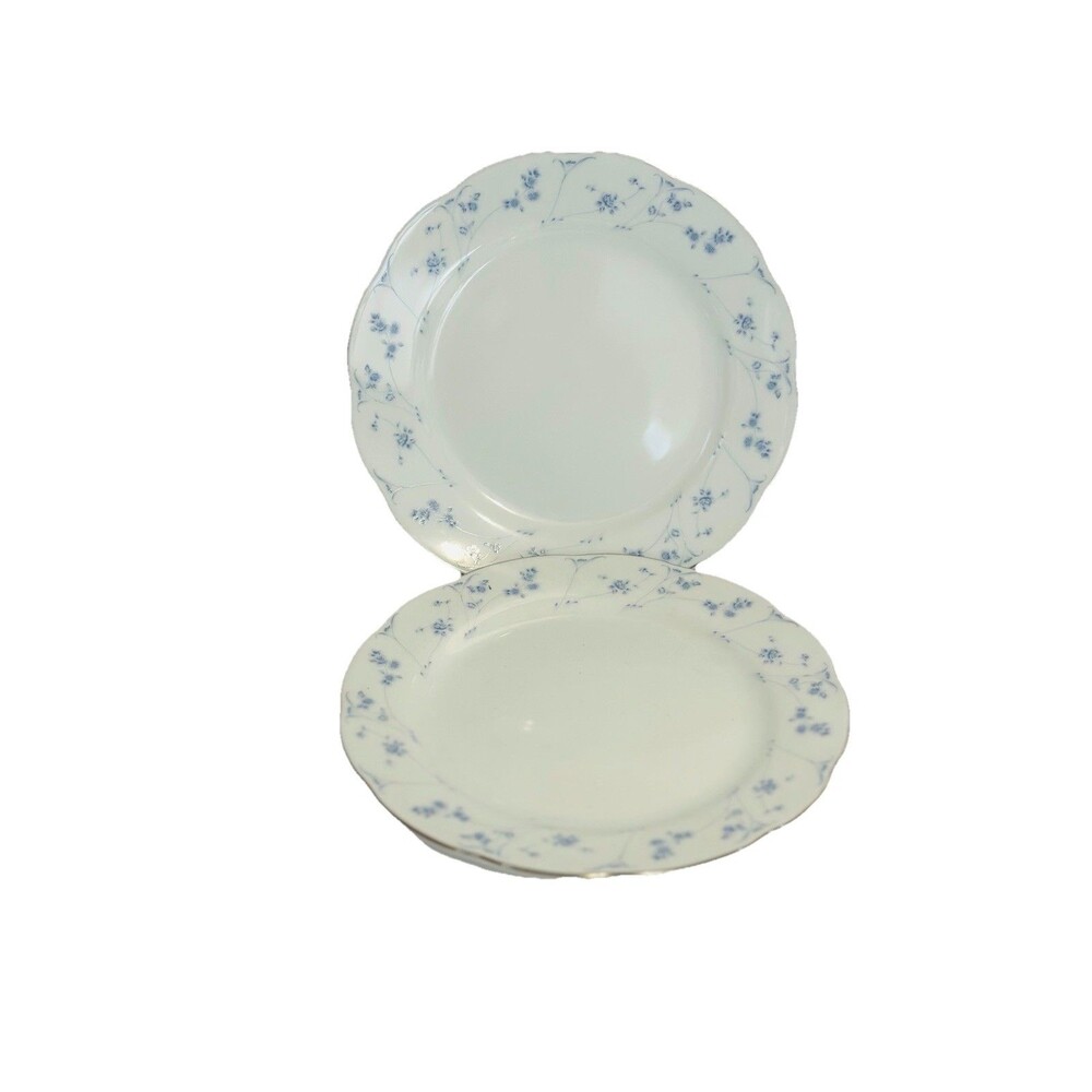 Premiere Blue Dawn ME113 Salad Plates 8” Set of 2 Blue Floral Platinum Trim